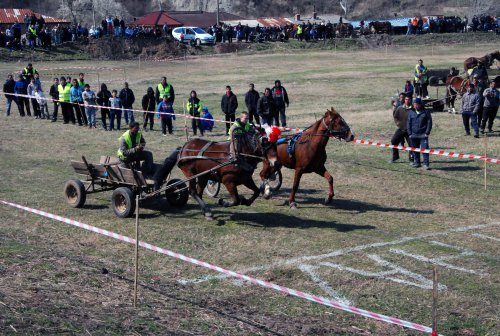 Ромска кушия си спретнаха в Хармали