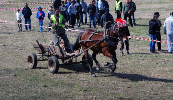 Ромска кушия си спретнаха в Хармали