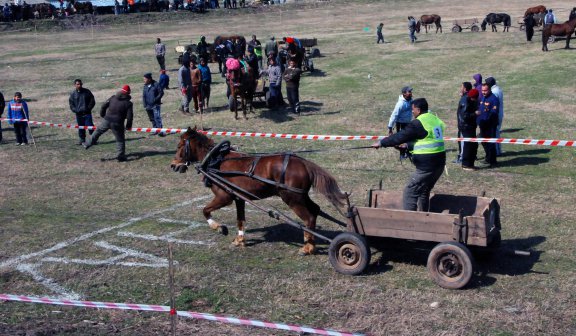 Ромска кушия си спретнаха в Хармали