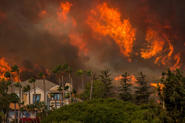 Опустошителни пожари бушуват в Калифорния