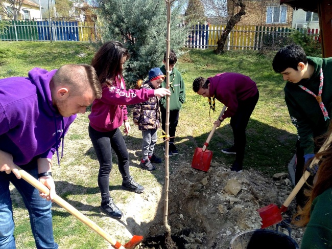 Варненските скаути засадиха дръвчета в Аксаково