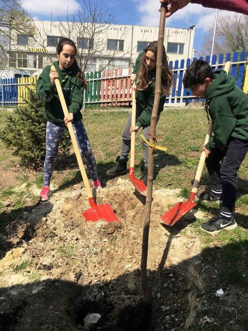 Варненските скаути засадиха дръвчета в Аксаково