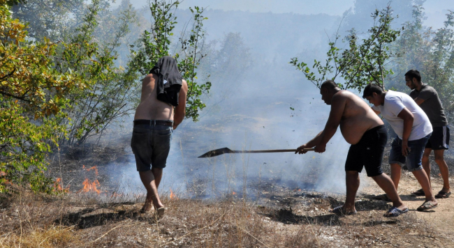 Треви и ниска растителност пламнаха край хасковското село Брягово