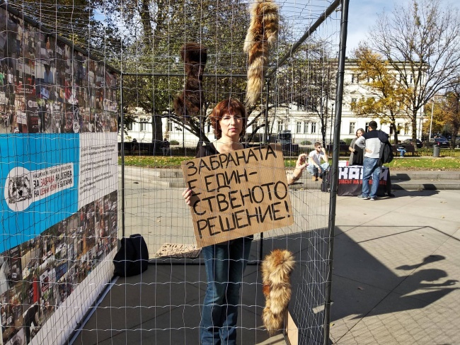 Природозащитници протестират в клетка до НС