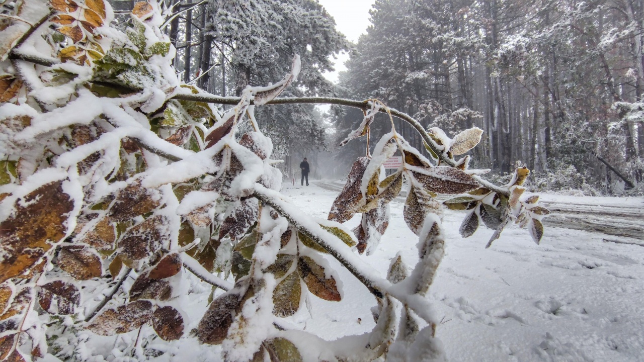 България в снежен капан