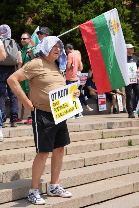 Демонстрация в защита на Исторически парк се състои на пл. „Желю Желев“ в София