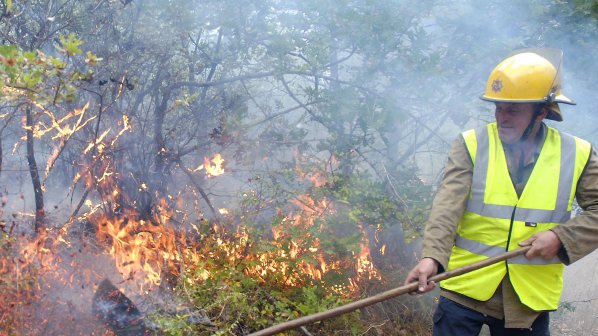 Локализирани са горските пожари в Хасковско