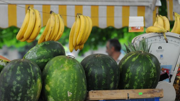 Проверяват гръцките дини