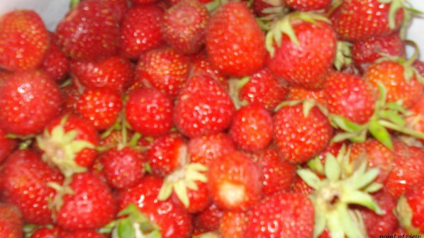 Ограбиха ферма за ягоди в Австрия