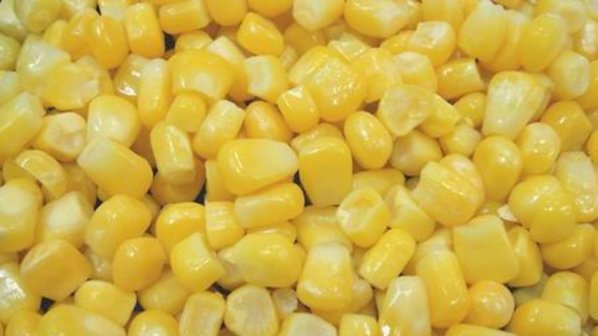 Учени доказаха, че ГМО царевицата причинява рак