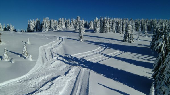 Откриват ски-сезона на Витоша този уикенд