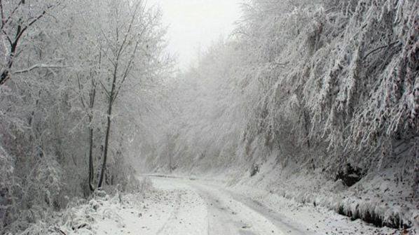 Снежни бури оставиха без ток 100 000 души в САЩ