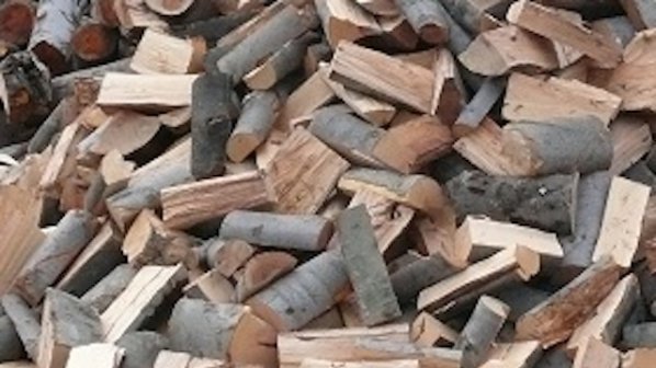 500 работници от дърводобивни фирми са заплашени от съкращения