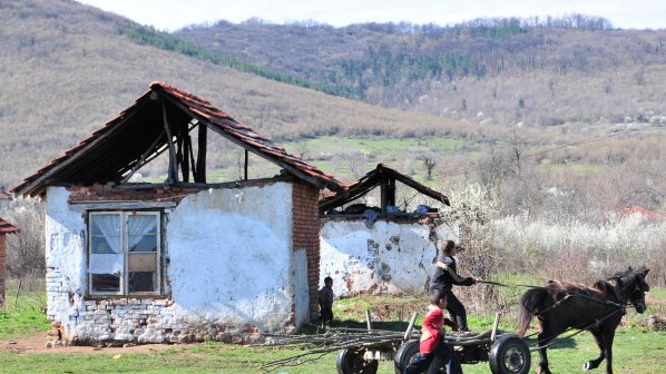 Цигани крадат и ядат животинки от зоопарк