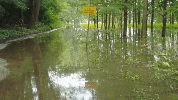 Високите води на Дунав стигат до България в неделя