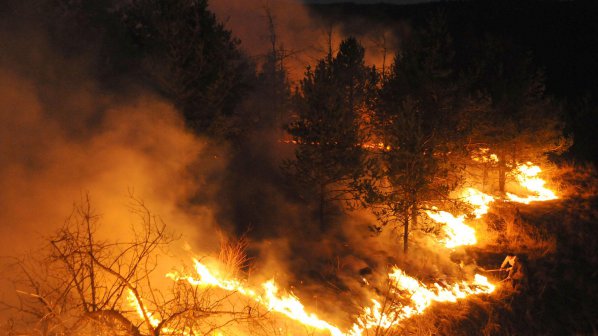Пожар изпепели гора край Ивайловград
