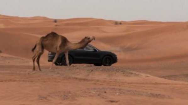 Porsche Macan на пустинен тест (видео)