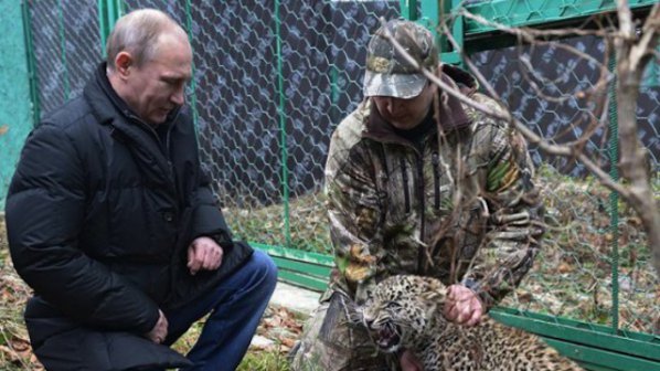Путин укроти леопард (снимки)