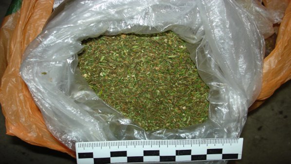 Спипаха 1,5 кг марихуана