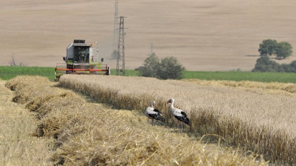 Шейхове стават земеделци в Бургас