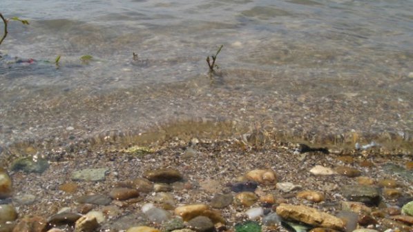 Откриха корозирала морска мина край Камен бряг
