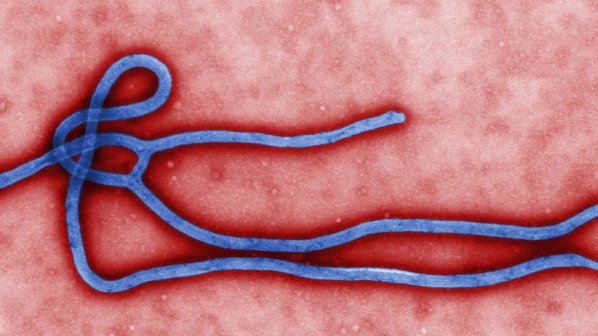 Домейнът Ebola.com се продава за 150 000 долара