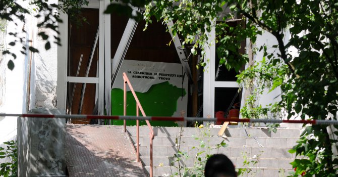 Бомбата пред държавната агенция в София сложена заради съкращения?