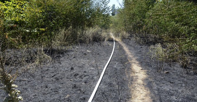 Сухи треви горяха в столичния квартал &quot;Зона Б-5&quot; (галерия)