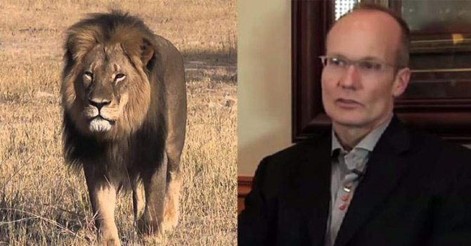 Смъртта на лъва Сесил потресе и САЩ - стартира подписка за забрана на ловните трофеи