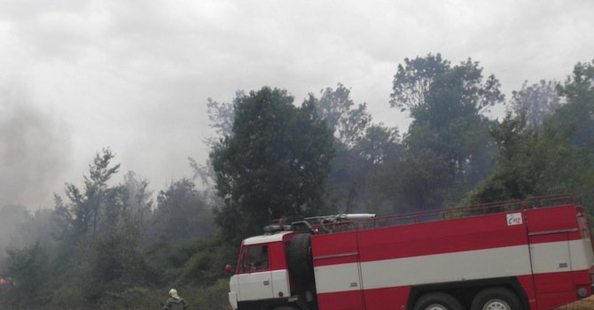 Овладян е пожарът край Вълча поляна