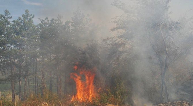 МВР: Напълно овладени са пожарите край Драгоман и Брезник