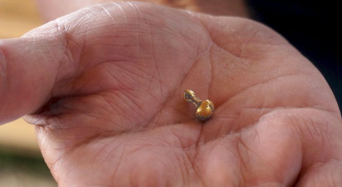Най-старото обработено злато откриха археолози край Провадия (снимки)
