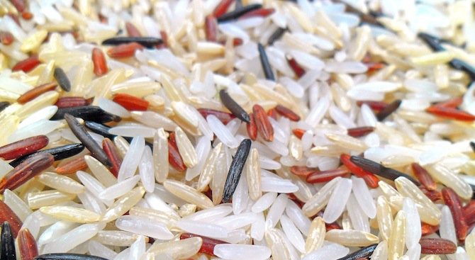 Заловиха импрегниран кокаин в ориз на път за Европа