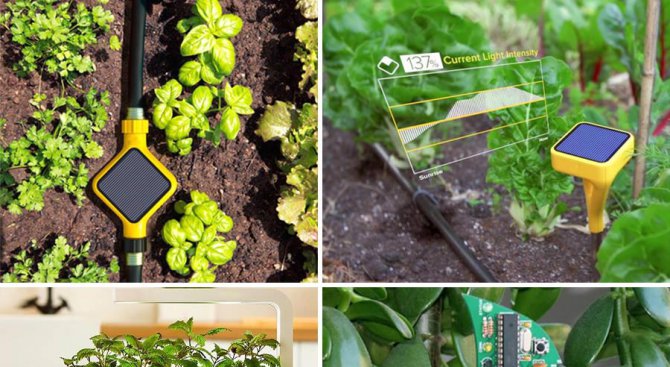 Високотехнологични градински изобретения, които ще ви изумят