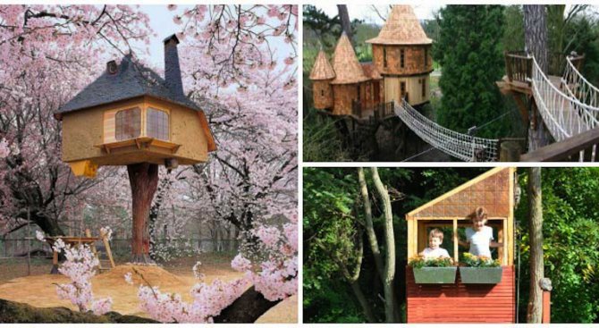 Къщи на дърво, вдъхновени от детските мечти