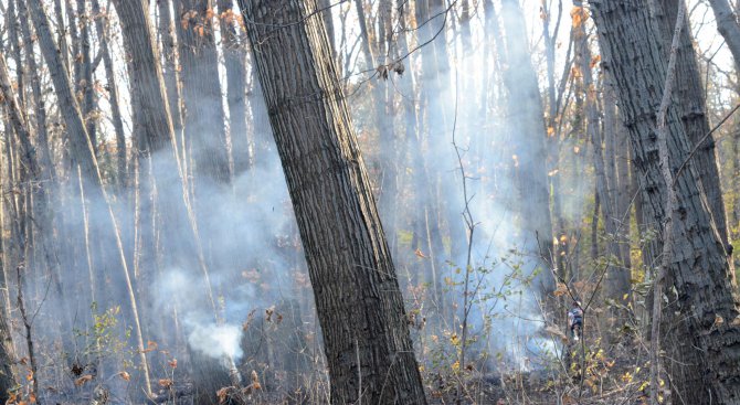 Локализиран е пожарът край Златоград