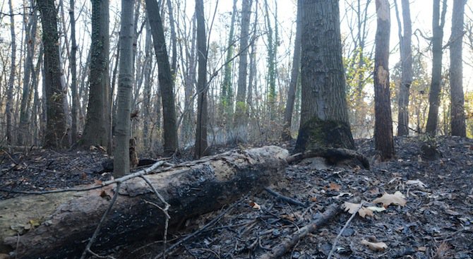 Нов горски пожар пламна в Ловешко