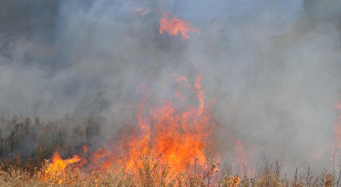 Прокуратура в Златоград разследва горския пожар край с. Аламовци