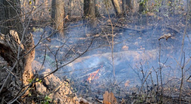 Спасиха от опожаряване 1000 декара общинска гора край сливенско село