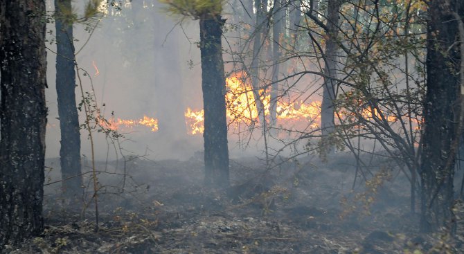 Военни ще се включат в гасенето на пожара край Златоград