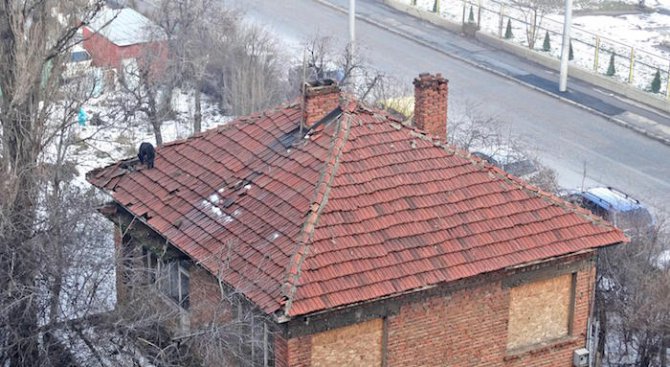 Граждани спасиха куче от покрив на изоставена къща (снимки)