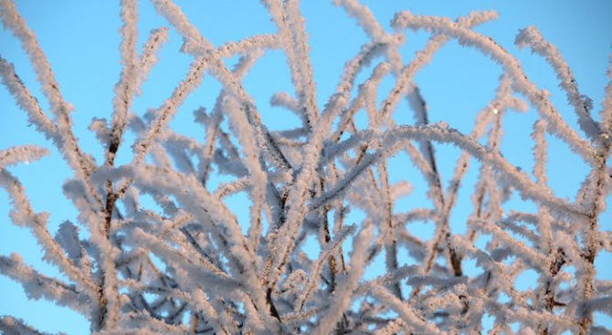 Минималните температури утре ще бъдат между -20° и -15°