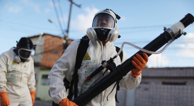 Дилма Русеф нареди тотална война срещу комарите заради вируса Зика
