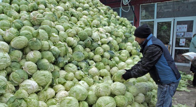 Зеленчукопроизводителите от Пазарджик на протест
