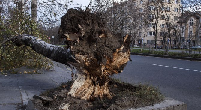 Пожарната напомни основните правила за безопаст при силен вятър