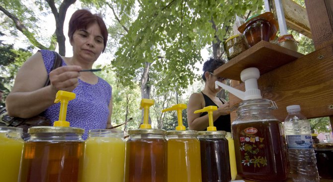 Специализираното изложение &quot;Пчеломания&quot; в Добрич ще предложи мед, кошери, препарати