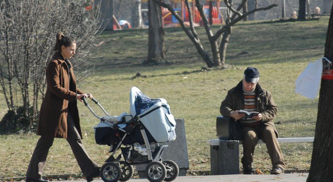 21,2 градуса на сянка удари живакът в Русе