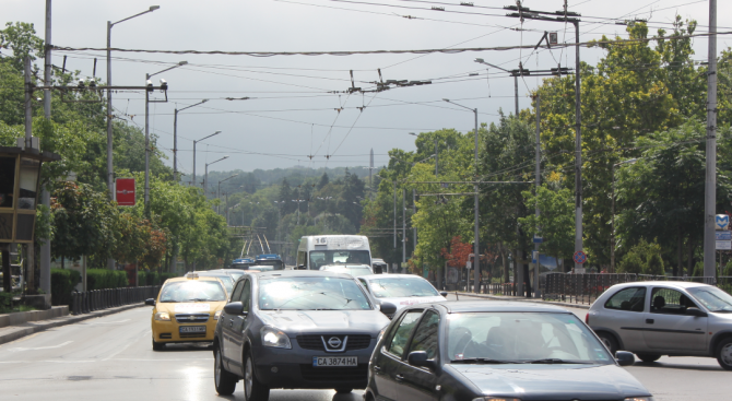 Изгнили тополи застрашават трафика по Ботевградско шосе
