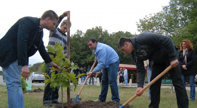 40 дървета и над 3000 храсти засадиха в Пловдив