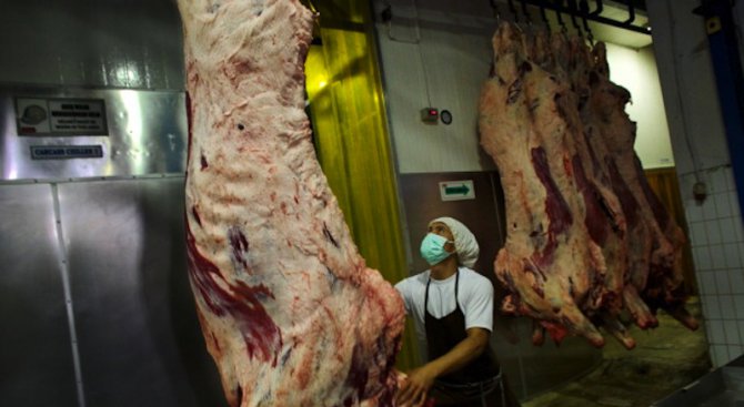 Откриха незаконна кланица и 250 кг месо близо до Сливен
